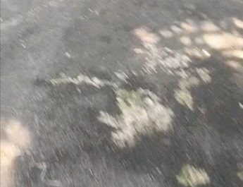 Penggunaan Anggaran Desa Sipak Kec Jasinga Jadi Sorotan. 